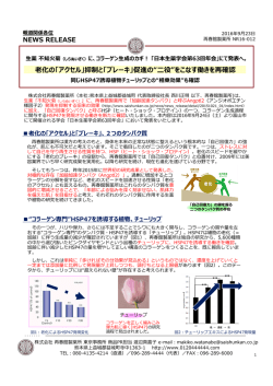 印刷をご希望の方はこちら（PDF）