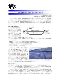 汚水処理におけるジオシンセティックス - International Geosynthetics