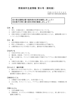 野菜畑作生産情報 第6号（要約版）