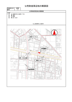 公売財産周辺地の概要図