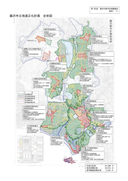 藤沢市立地適正化計画 全体図