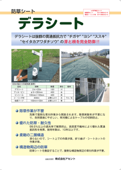デラシート - 株式会社アセント