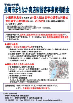 補助金の概要（周知チラシ）（PDF形式：512KB）