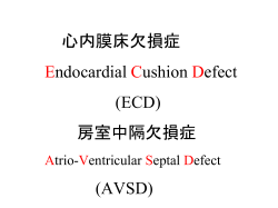 心内膜床欠損症 Endocardial Cushion Defect (ECD) 房室中隔欠損症