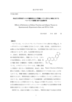 論文内容の要旨 高血圧自然発症ラットの内臓脂肪および腎臓とマウス