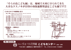 そらの鳥チラシ 裏