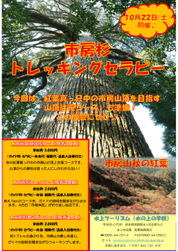 参加費：5,000円 （ガイド料・セラピー弁当代・保険代・温泉入浴券付き） 秋