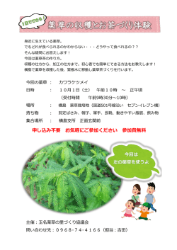 薬草の収穫とお茶づくり体験
