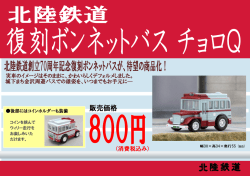 （消費税込み）