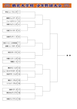 元宮ファイターズ 市場ハリケーンズ 横浜ホエールズ 池谷戸タートルズ
