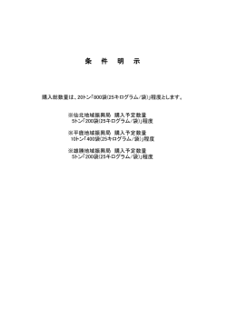 条件明示(PDF文書)