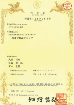 Adobe Photoshop PDF