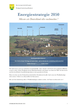 Energiestrategie 2050 - Windpark Lindenberg Gegner