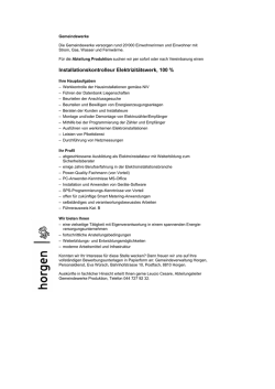 Installationskontrolleur Elektrizit&auml;tswerk, 100