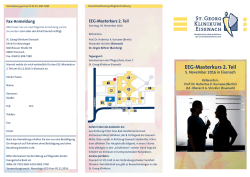 EEG-Masterkurs 2. Teil
