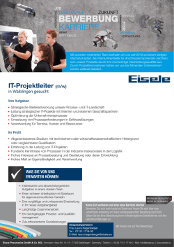 IT-Projektleiter