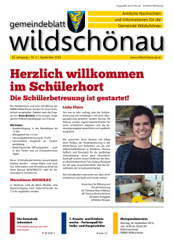 Wildschönauer - Bürgermeister Zeitung