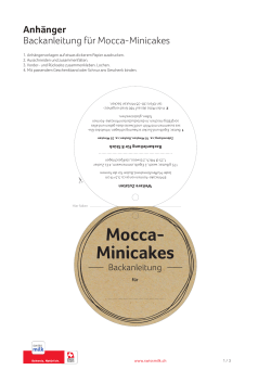 Mocca- Minicakes