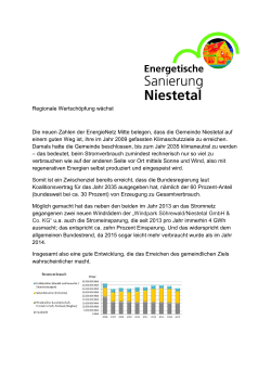 Bericht zur Energetischen Sanierung Niestetal