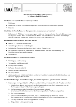 Hinweise f&uuml;r sonstige finanzielle F&ouml;rderung