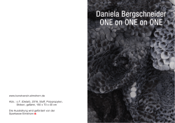 Daniela Bergschneider ONE on ONE on ONE