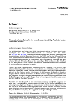 Drucksache 16/12967