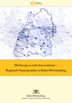 Regionale Clusterprojekte in Baden