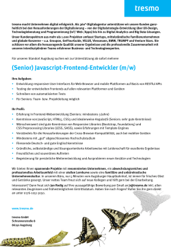 Javascript Frontend-Entwickler