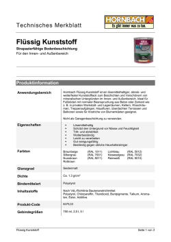 Flüssig Kunststoff