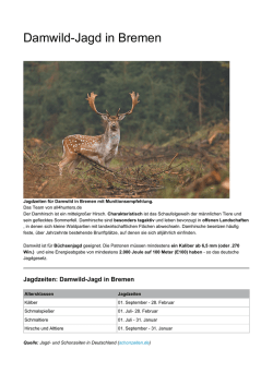 Damwild-Jagd in Bremen