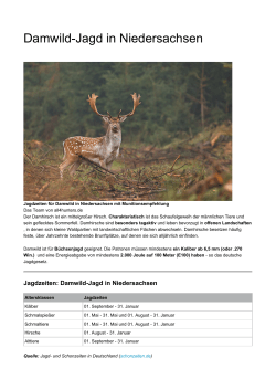 Damwild-Jagd in Niedersachsen