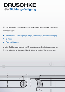 Druschke Dichtungsfertigung