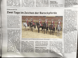 Pressebericht aus der Pferdewoche