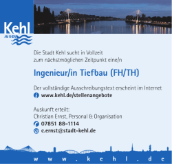 Ingenieur/in Tiefbau (FH/TH)