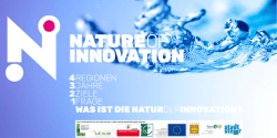 Infos - Nature of Innovation