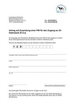 Antrag für ZID-PIN (Brandenburg)