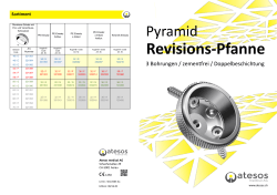 Produktinfo Pyramid Revisions-Pfanne