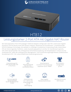 Leistungsstarker 2-Port ATA mit Gigabit-NAT-Router