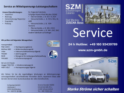Flyer Service Bad Muskau Deutsch