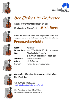 Mini-Bass - Musikschule