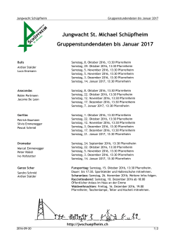 Gruppenstundendaten bis Januar 2017
