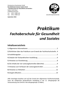 Handreichungen zum Praktikum