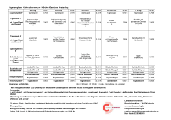 PDF: 14 KB - Landkreis Karlsruhe