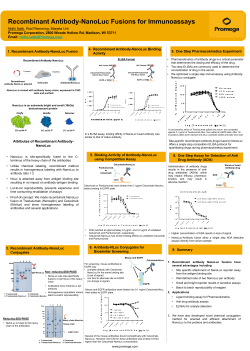 Recombinant Antibody NanoLuc Fusions for Immunoassays Poster