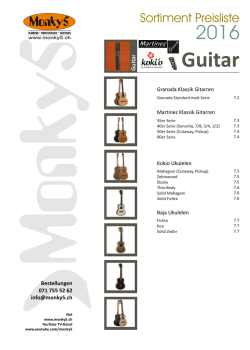 Guitar - MONKY5
