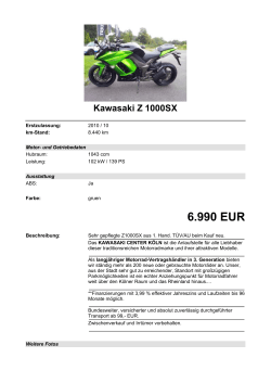 Detailansicht Kawasaki Z 1000SX