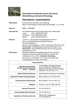 Geschützte Schafherde auf der Alp Ochse, Schwefelberg, Gemeinde