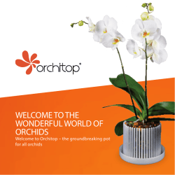 Here - Orchitop