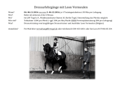 Dressurlehrgänge mit Leon Vermeulen