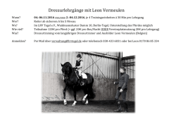 Dressurlehrg&auml;nge mit Leon Vermeulen